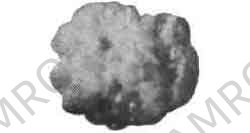 OIL ABSORBENT PELLET IGNEOUS, ROCK NO.3 100LTR (5.5KG)