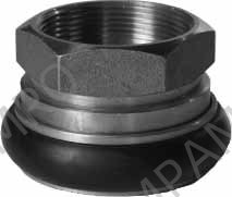ADAPTER FIREHOSE BRASS MACHINO, 2-1/2" FEMALE/THREAD 2" FEMALE