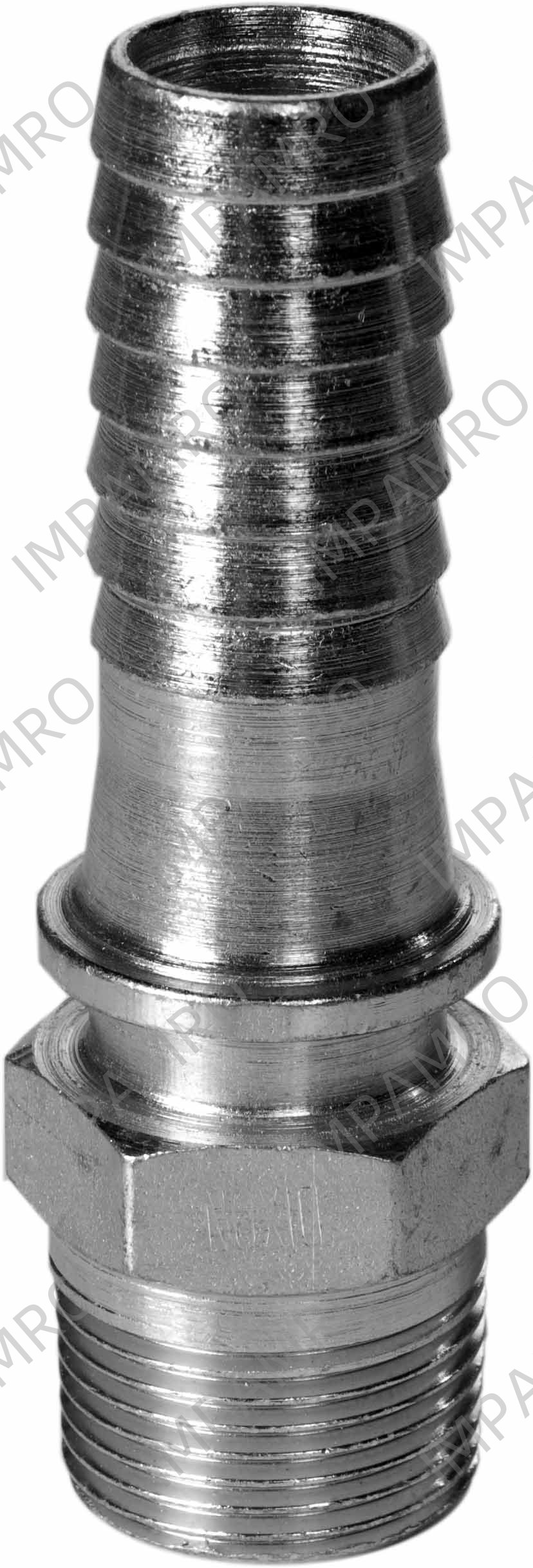 COUPLING STEAM HOSE BSP, MALE 25MM SM675025