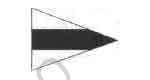 371558 FLAG SIGNAL THIRD SUBSTITUTE