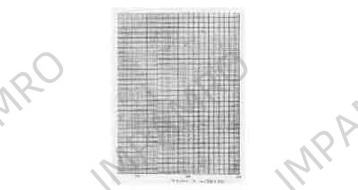 SECTIONED PAPER 1MM MESH B-2