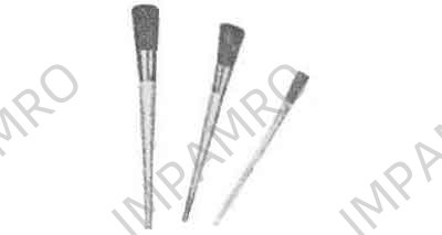 SASH TOOL OVAL 15MM