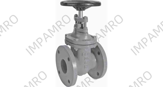 GATE VALVE DIN CAST IRON, FLANGED PN10 #317 DN 100