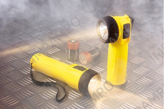 TROCH SAFETY WOLF TS-26B 2CELL, STRAIGHT CONFORMED TO ATEX