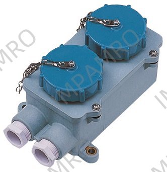 RECEPTACLE DOUBLE W/TIGHT IEC, 2P+E AC200-250V BLUE RI2-2-2