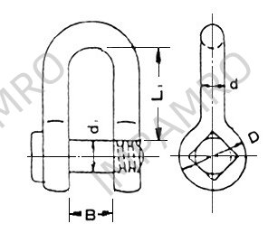 T SHACKLE