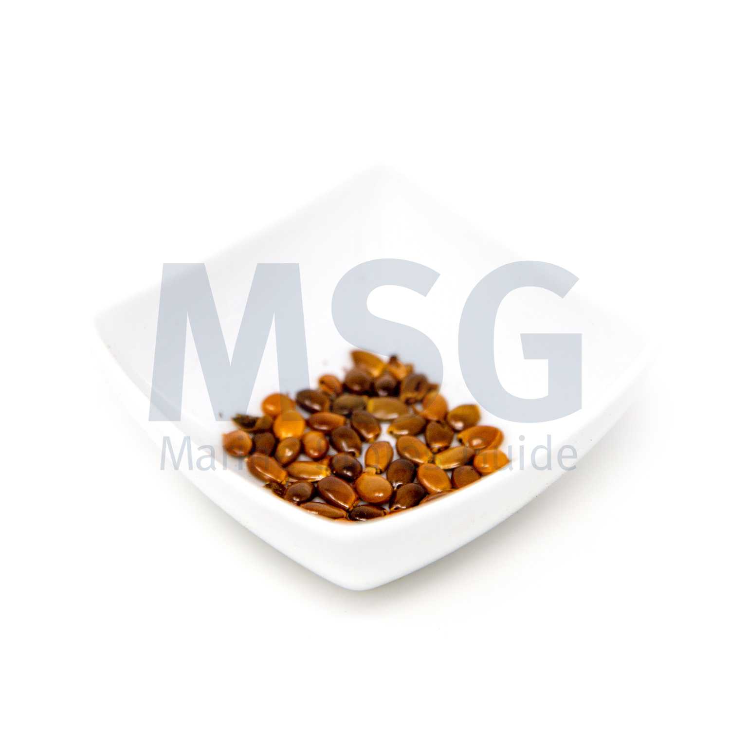 006403 - 整粒茴香籽