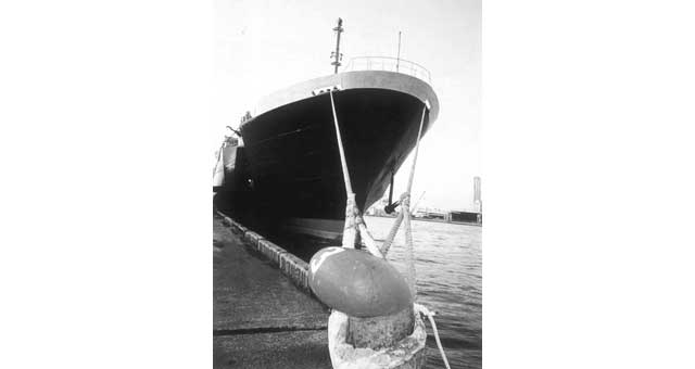 211559 - 8股海洋复合系泊缆绳 周长9-7 8英寸×200米（NK认证）