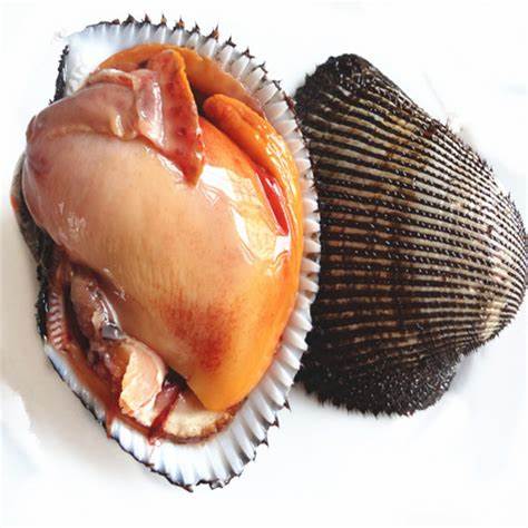 001102 BLOODY CLAM (AKAGAI) W/O SHELL, FROZEN