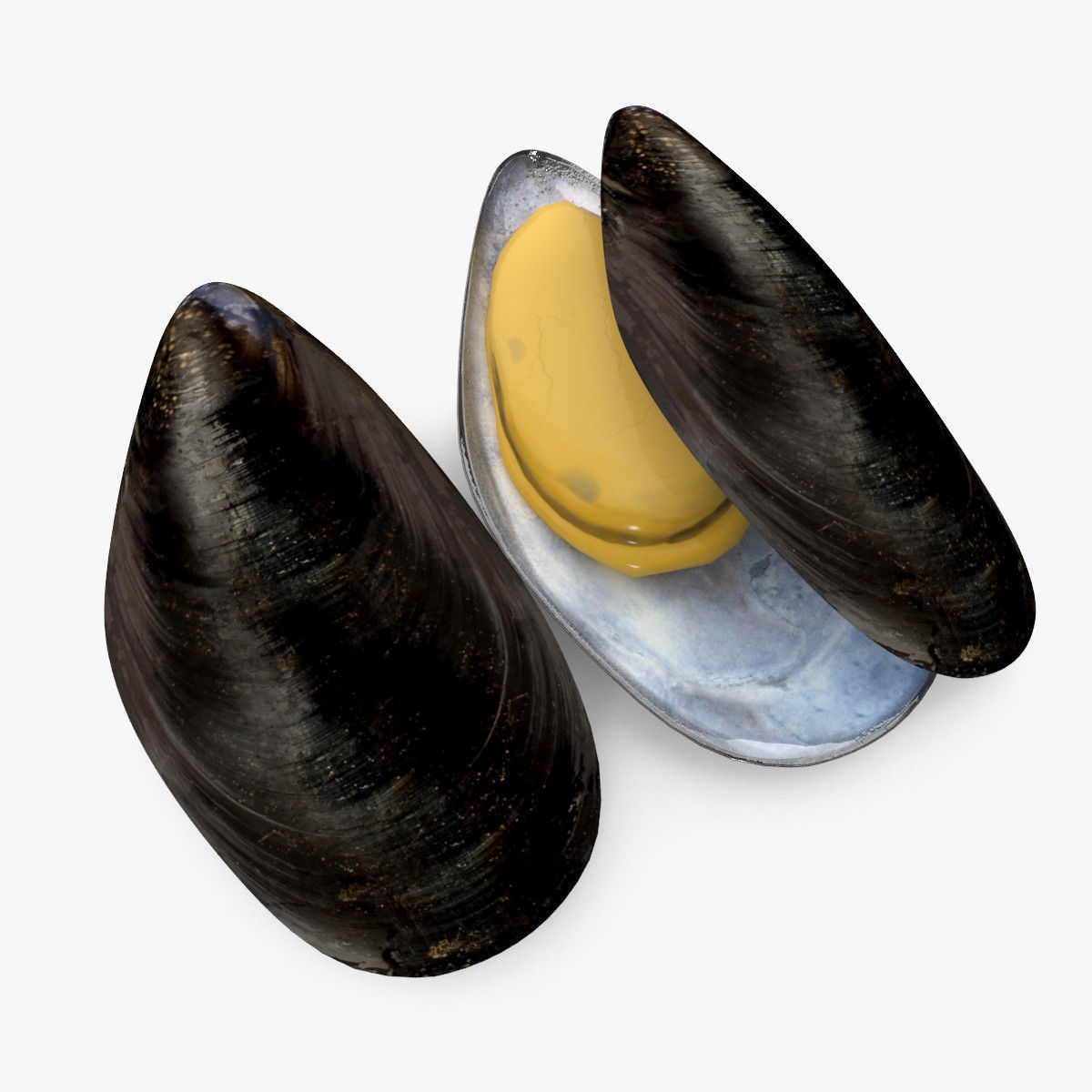 001112 MUSSEL WITH SHELL