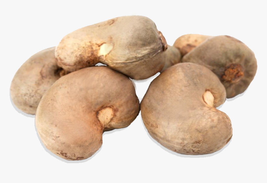 003456 CASHEW NUTS SHELLED