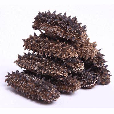000948 SEA CUCUMBER (TREPANG) DRIED