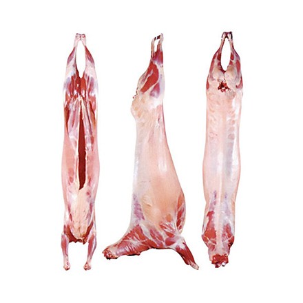 007421 LAMB CARCASS