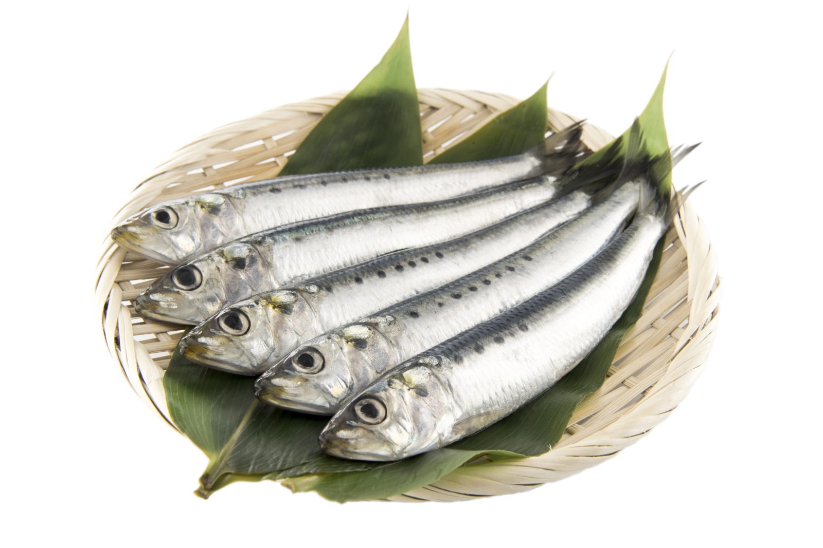 000750 SARDINE FROZEN