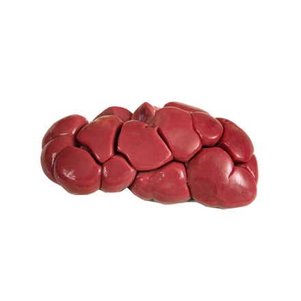 007051 BEEF KIDNEY