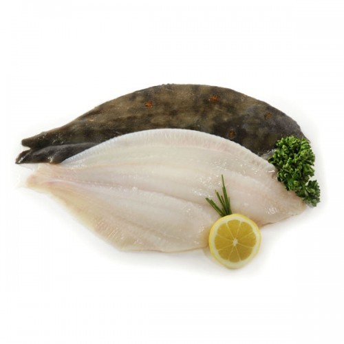 000738 PLAICE FILLET FROZEN