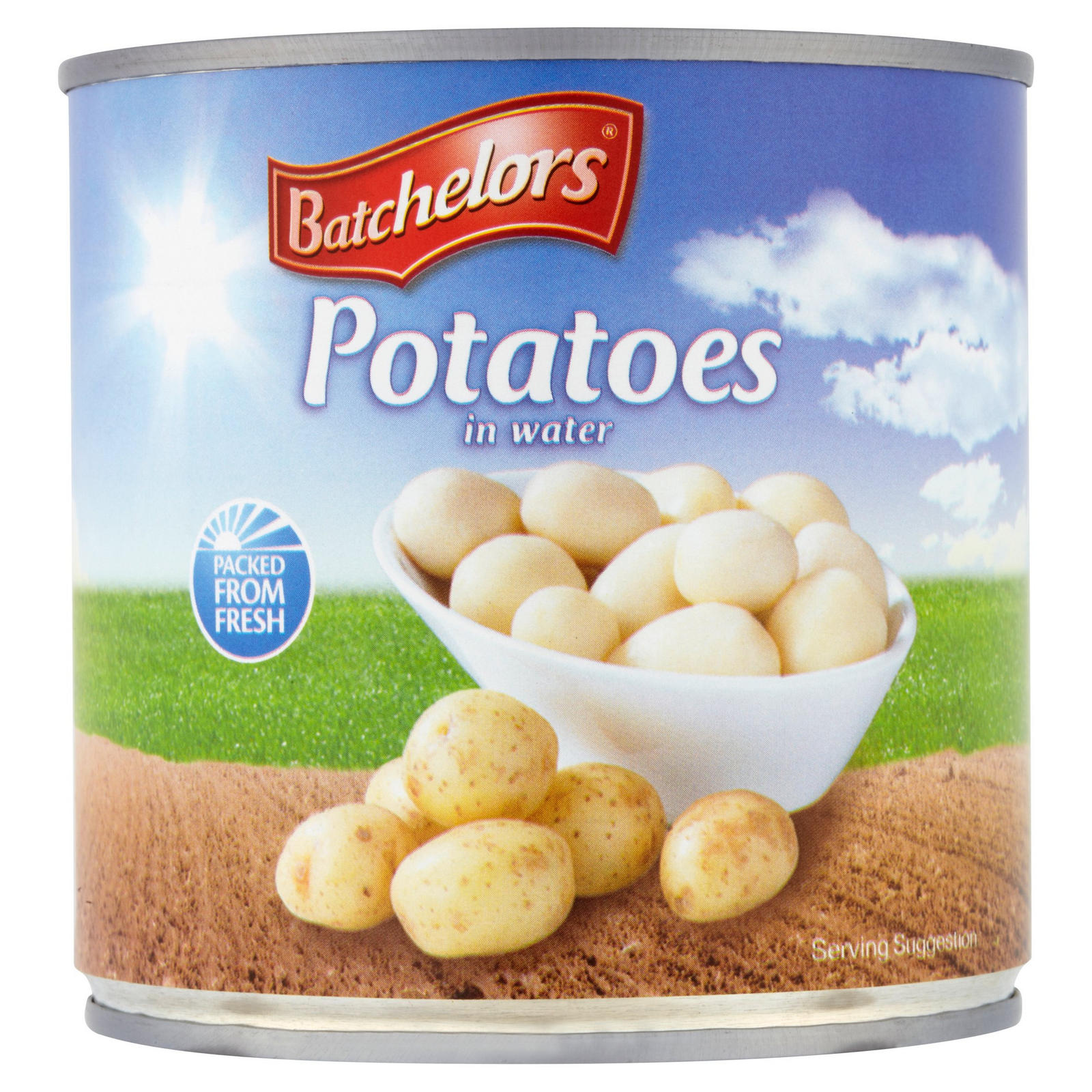 004845 POTATO INSTANT #10 TINNED