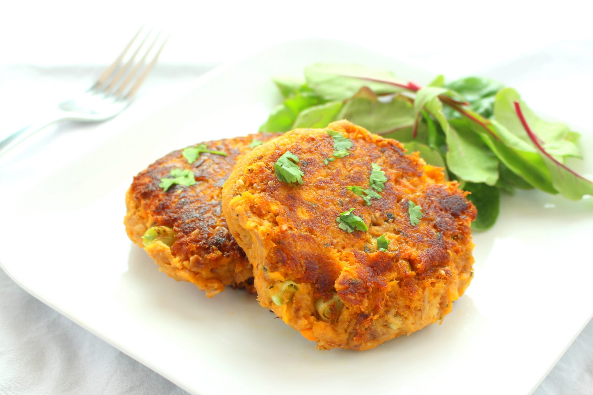 002825 FISH CAKE TINNED