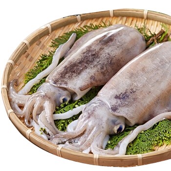 001153 INK FISH FROZEN