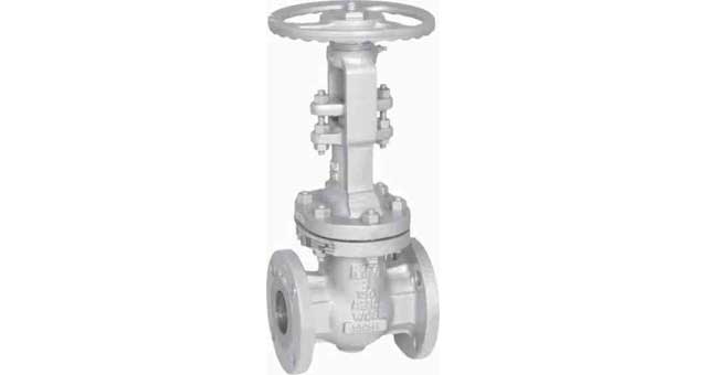 757265 GATE VALVE ANSI 150 CARBON STL, S.STEEL TRIM FLANGED #1850 8