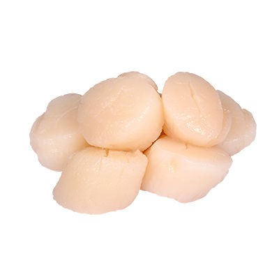 001117 SCALLOP FROZEN