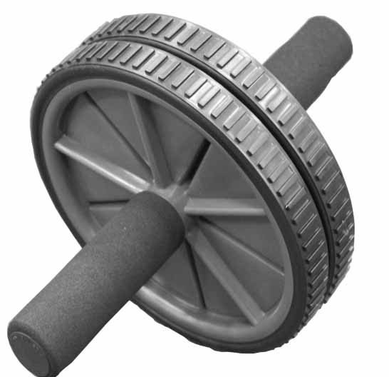 110118 EXERCISE WHEEL