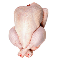 007619 CHICKEN SPRING EVISCERATED, FROZEN