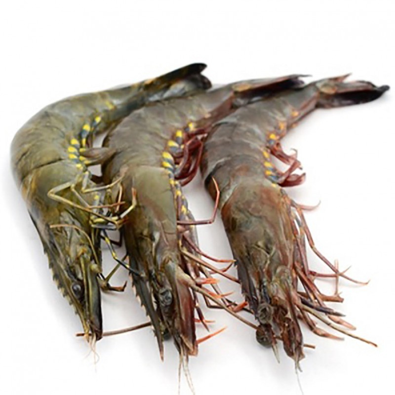 001131 PRAWN WHOLE FROZEN