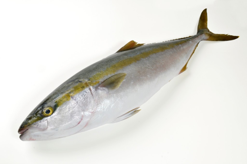 000782 YELLOW TAIL (BURI) FROZEN