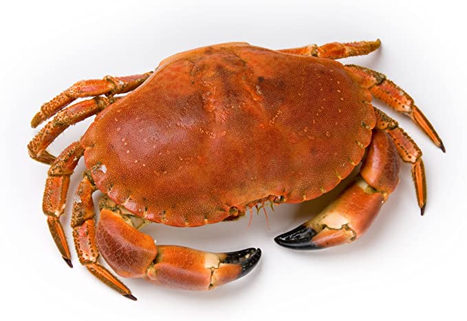 001121 CRAB WHOLE FROZEN
