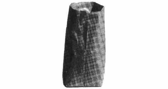 174189 SACK REFUSE BIODEGRADABLE, PLASTIC 525X500MM 50'S