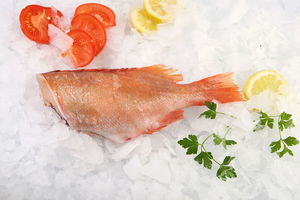 000744 RED FISH (GAROUPA) HEADLESS, FROZEN