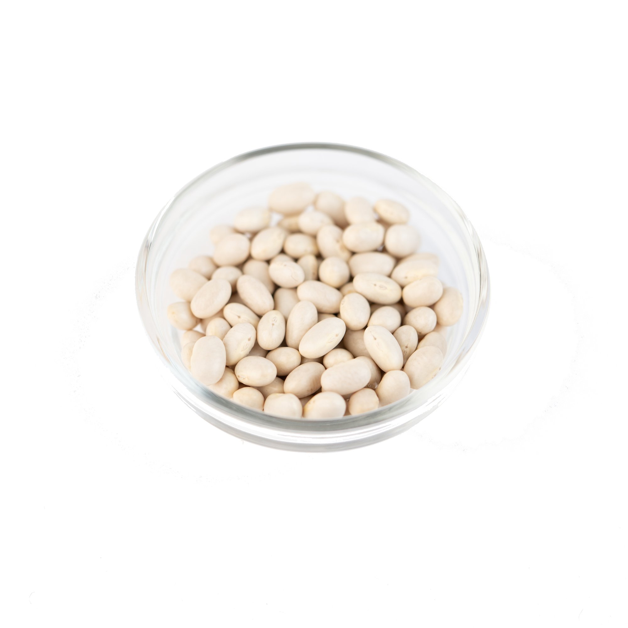 003213 BEANS WHITE DRY KOTEBO