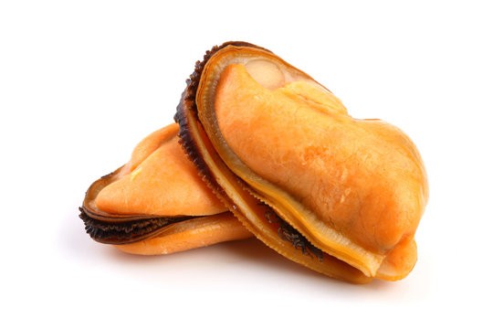 001111 MUSSEL WITHOUT SHELL