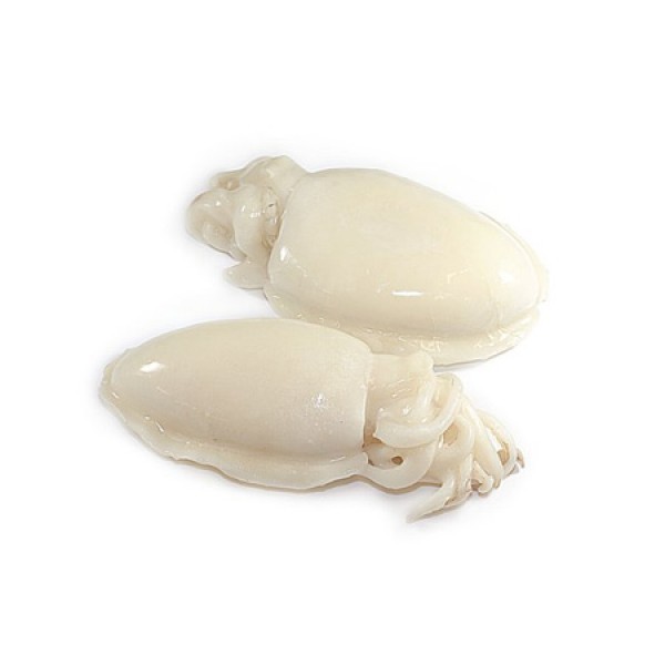 001152 SQUID (CUTTLE-FISH) FROZEN