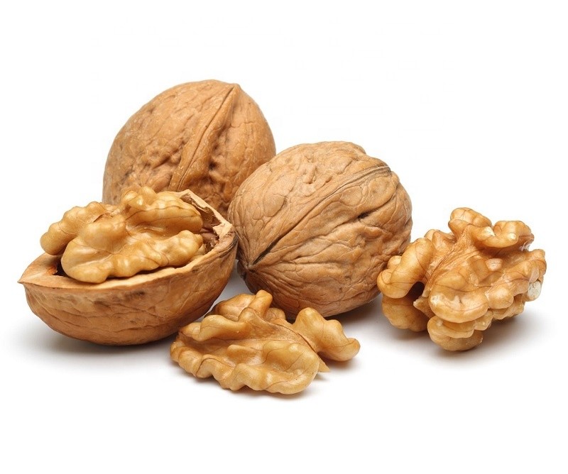 003476 WALNUTS WITH SHELL