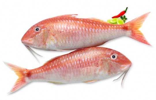 000733 MULLET WHOLE FROZEN