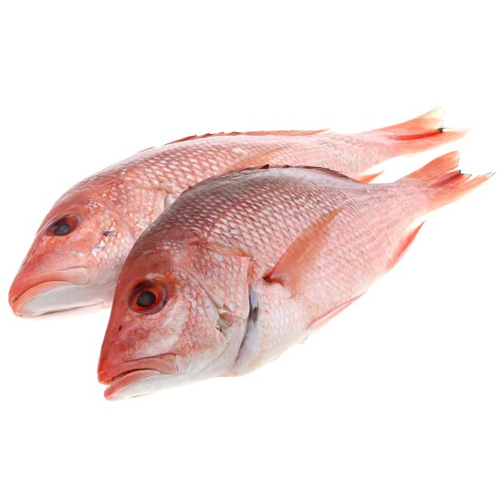 000753 SNAPPER RED SMALL FROZEN