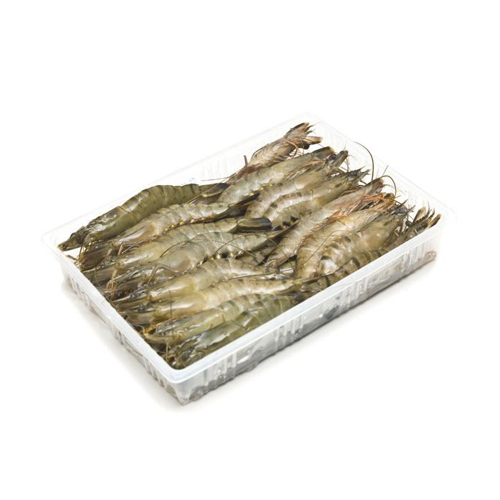 001138 SHRIMP WHOLE FROZEN