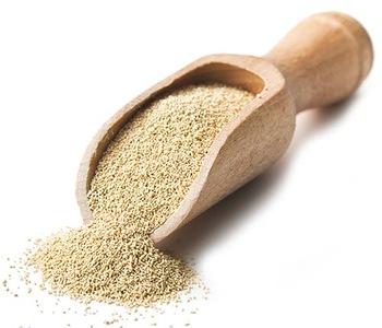 004888 YEAST DRY