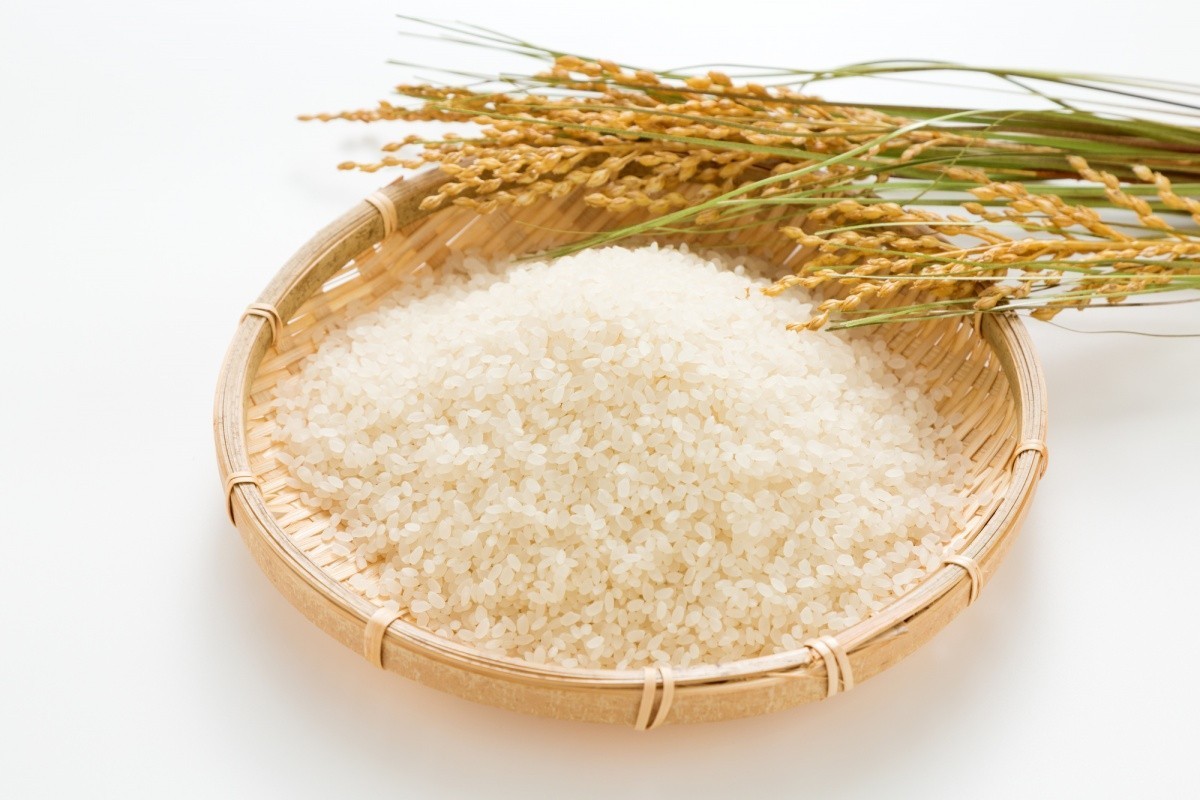 004803 RICE JAPANESE GRADE A