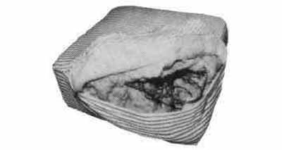 150206 MATTRESS SPRING TYPE, 900X2000X150MM