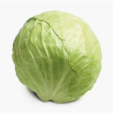 000102 ROUND CABBAGE /WHITE CABBAGE