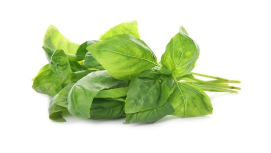 000104 BASIL FRESH