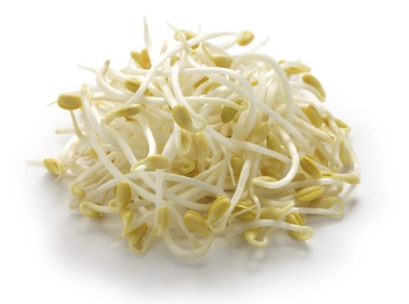 000105 BEAN SPROUT FRESH