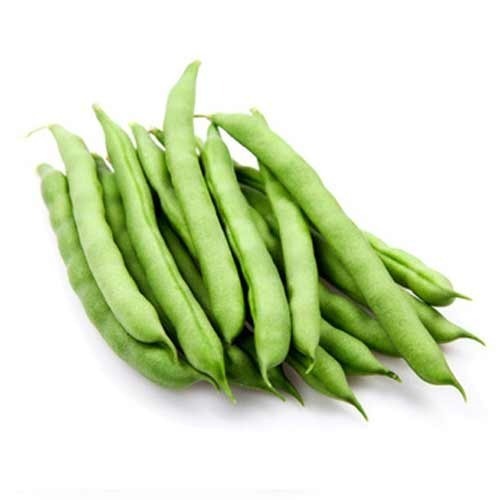 000107  BEANS STRING FRESH