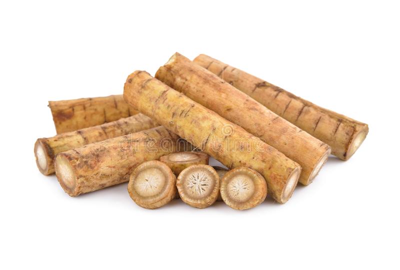 000111  BURDOCK (GOBO) FRESH