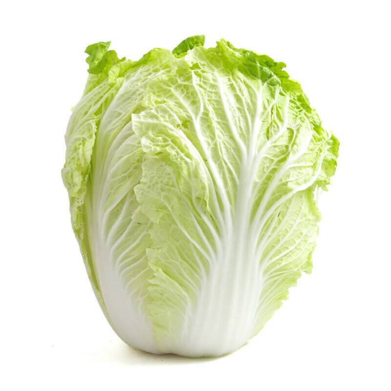 000114  CABBAGE CHINESE FRESH