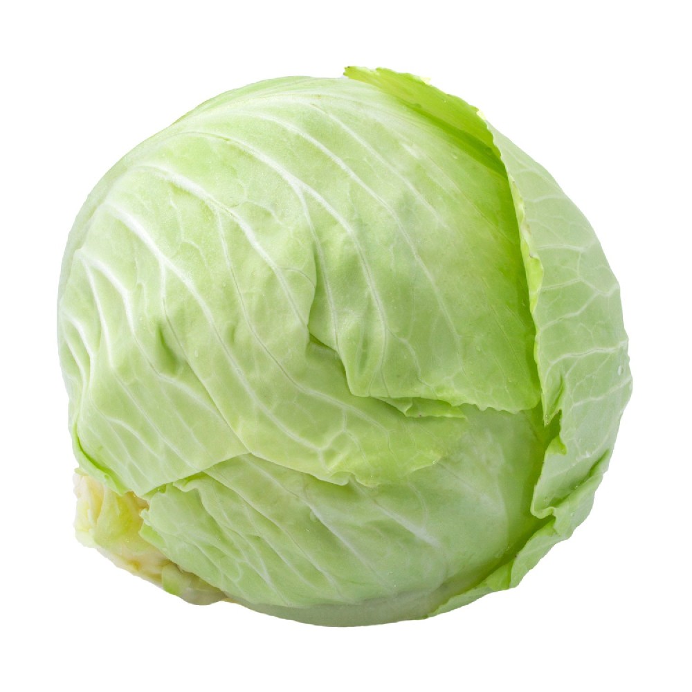 000115  CABBAGE HARD WHITE FRESH