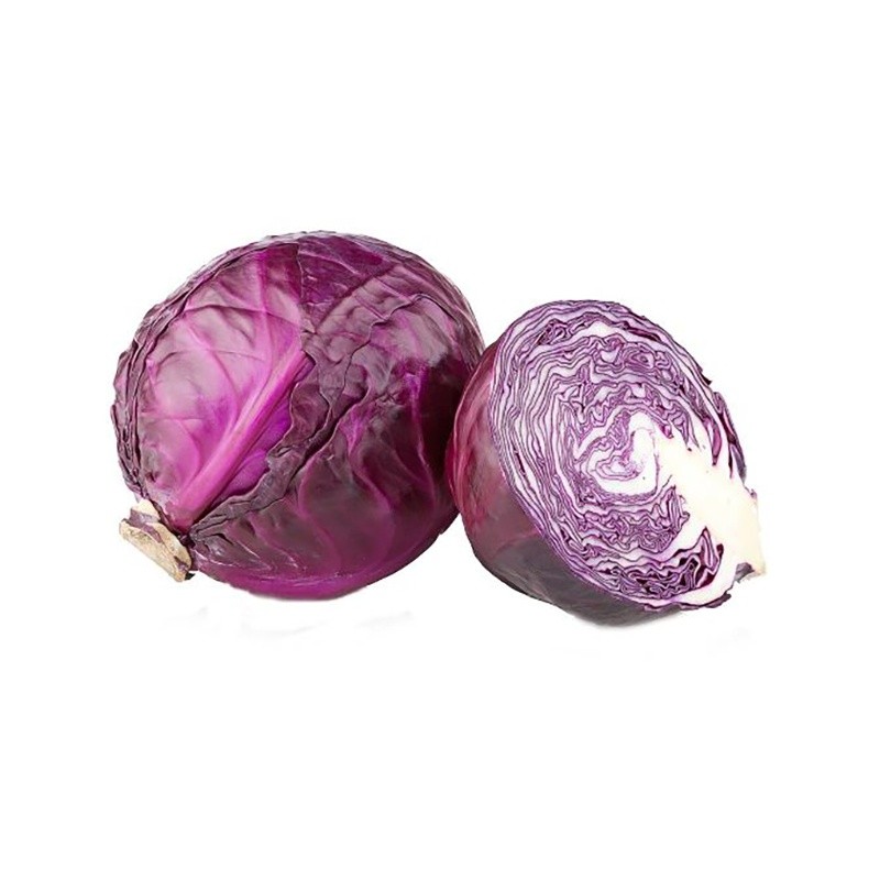 000116  CABBAGE RED FRESH